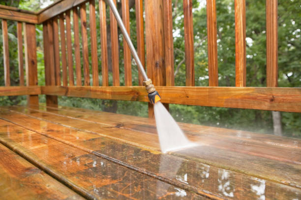 Best Animal Enclosure Cleaning  in Spooner, WI